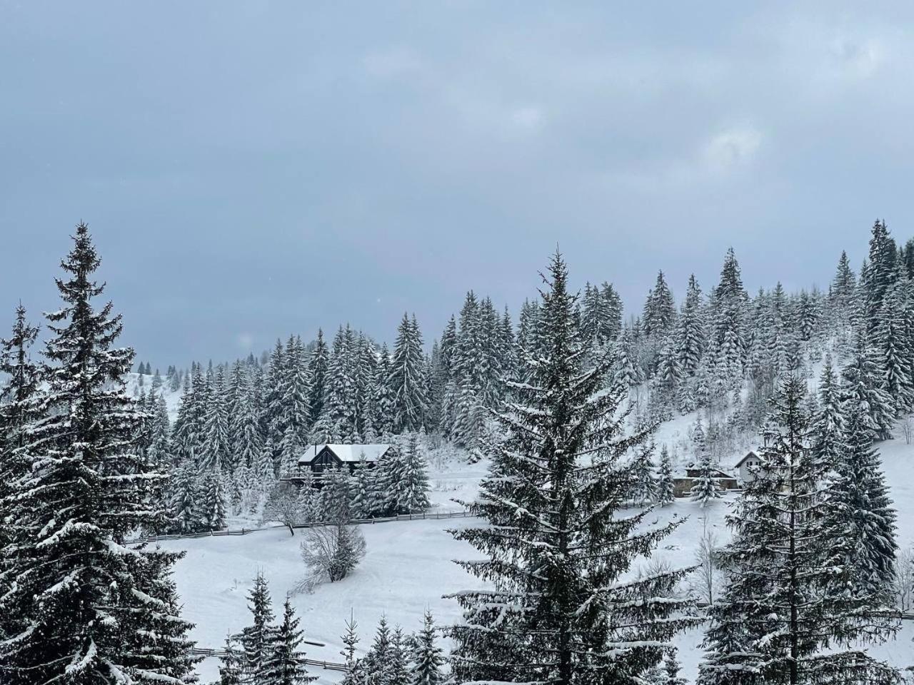 Kazka Lejlighedshotel Yablunytsya Eksteriør billede